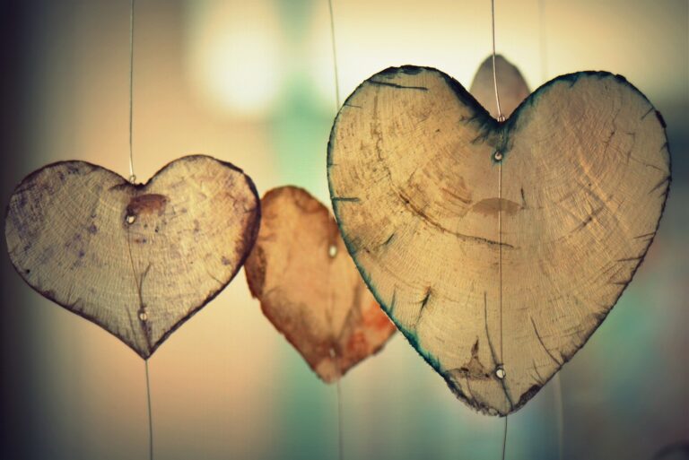 hearts - self love journey
